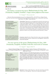 ДВА НОВЫХ ДЛЯ НАУКИ ВИДА РОДА THALASSIRONUS DE MAN, 1889 (NEMATODA, ENOPLIDA, IRONIDAE) C КОРАЛЛОВЫХ РИФОВ ВО ВЬЕТНАМЕ