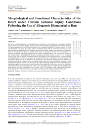 Morphological and Functional Characteristics of the Heart under Chronic Ischemic Injury Conditions Following the Use of Allogeneic Biomaterial in Rats