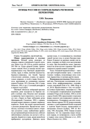 ПТИЦЫ РОССИИ И СОПРЕДЕЛЬНЫХ РЕГИОНОВ: ПЕРЕВОЗЧИК