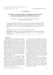 НАХОДКА РЕДКОГО ГРИБА GANODERMA RESINACEUM BOUD. В ДОНЕЦКОМ БОТАНИЧЕСКОМ САДУ