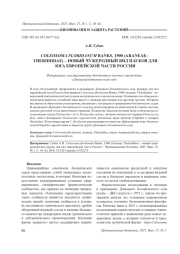 COLEOSOMA FLORIDANUM BANKS, 1900 (ARANEAE: THERIDIIDAE) - НОВЫЙ ЧУЖЕРОДНЫЙ ВИД ПАУКОВ ДЛЯ ЮГА ЕВРОПЕЙСКОЙ ЧАСТИ РОССИИ