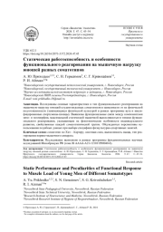 СТАТИЧЕСКАЯ РАБОТОСПОСОБНОСТЬ И ОСОБЕННОСТИ ФУНКЦИОНАЛЬНОГО РЕАГИРОВАНИЯ НА МЫШЕЧНУЮ НАГРУЗКУ ЮНОШЕЙ РАЗНЫХ СОМАТОТИПОВ