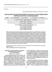 ЗЕБРАДАНИО КАК ПЕРСПЕКТИВНАЯ МОДЕЛЬ В ТРАНСЛЯЦИОННОЙ НЕЙРОБИОЛОГИИ И БИОМЕДИЦИНЕ
