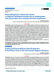 Масштабирование субъектов малого и среднего предпринимательства на макроуровне при реализации мер государственной поддержки