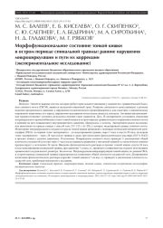 Морфофункциональное состояние тонкой кишки в остром периоде спинальной травмы: ранние нарушения микроциркуляции и пути их коррекции (экспериментальное исследование)