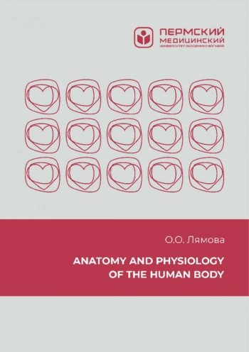 ANATOMY AND PHYSIOLOGY OF THE HUMAN BODY