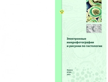 ЭЛЕКТРОННЫЕ МИКРОФОТОГРАФИИ И РИСУНКИ ПО ГИСТОЛОГИИ