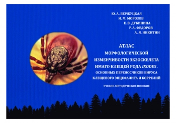 АТЛАС МОРФОЛОГИЧЕСКОЙ ИЗМЕНЧИВОСТИ ЭКЗОСКЕЛЕТА ИМАГО КЛЕЩЕЙ РОДА IXODES – ОСНОВНЫХ ПЕРЕНОСЧИКОВ ВИРУСА КЛЕЩЕВОГО ЭНЦЕФАЛИТА И БОРРЕЛИЙ