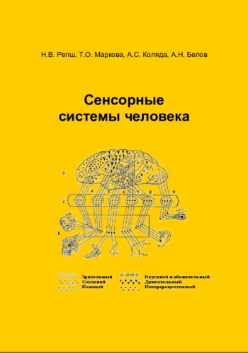 СЕНСОРНЫЕ СИСТЕМЫ ЧЕЛОВЕКА