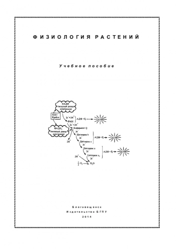 ФИЗИОЛОГИЯ РАСТЕНИЙ