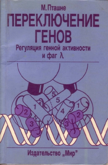 Переключение генов. Регуляция генной активности и фаг лямбда.