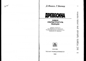 Древесина: химия, ультраструктура, реакции
