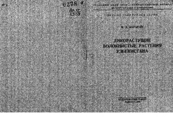 Дикорастущие волокнистые растения Узбекистана