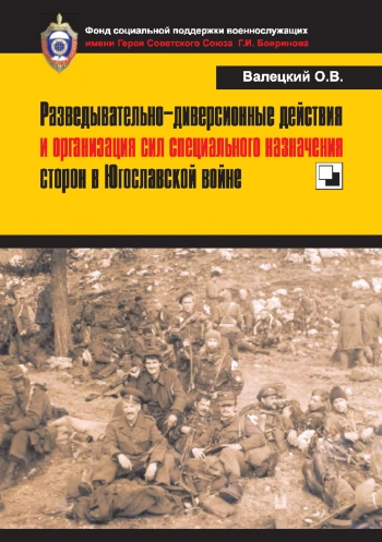 Разведывательно-диверсионные действия и организация сил специального назначения сторон в Югославской войне