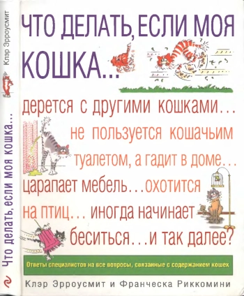 Что делать, если моя кошка...