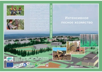 Интенсивное лесное хозяйство