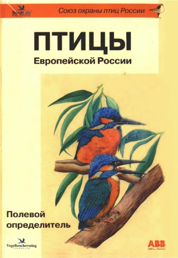 Птицы Европейской России