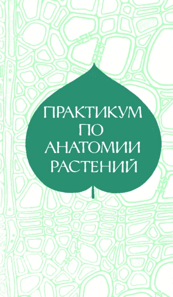Практикум по анатомии растений